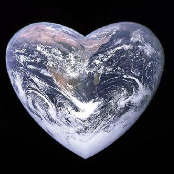 Meet your Posher, Marcia - Picture 1 of 1